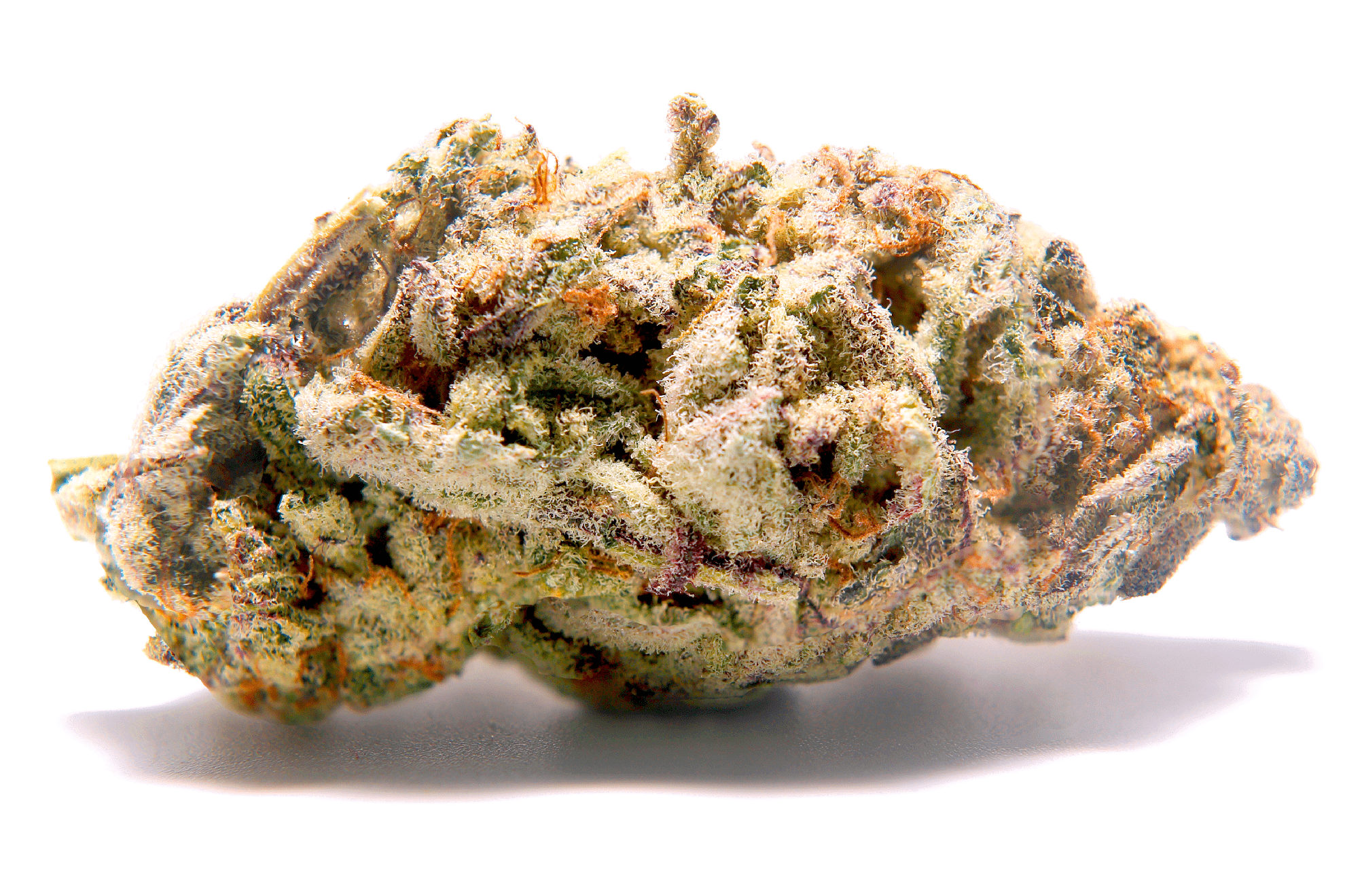 mandarine cookies